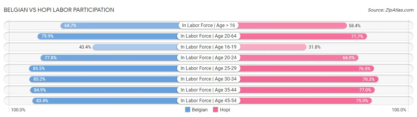 Belgian vs Hopi Labor Participation