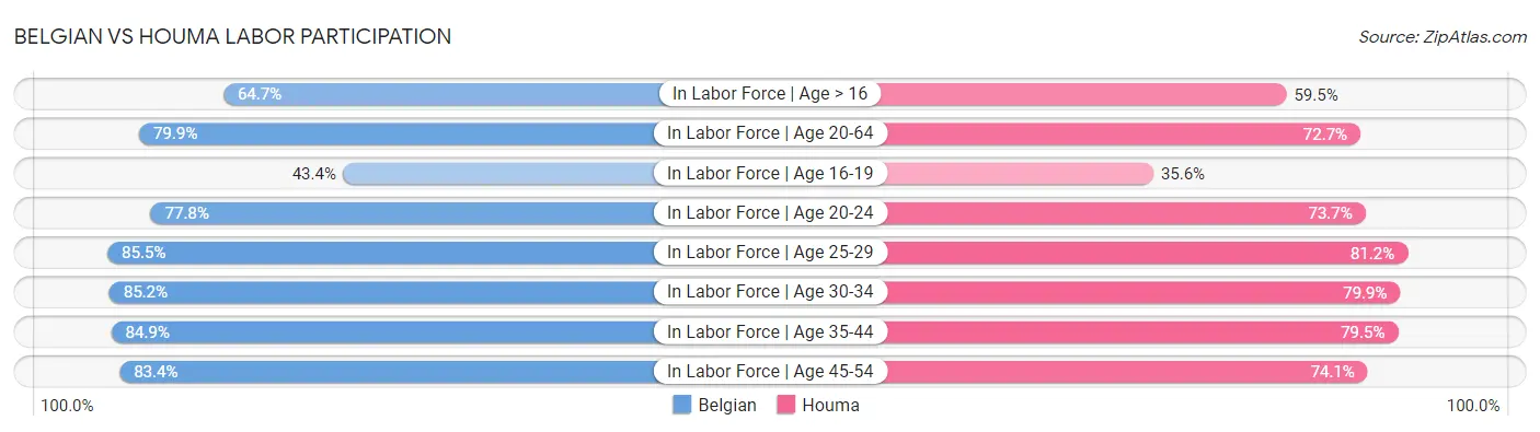 Belgian vs Houma Labor Participation