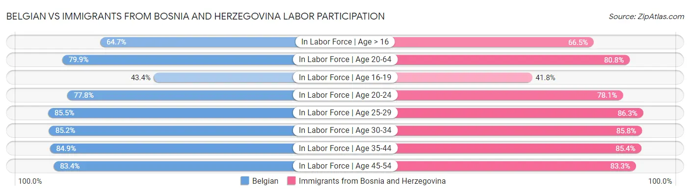 Belgian vs Immigrants from Bosnia and Herzegovina Labor Participation