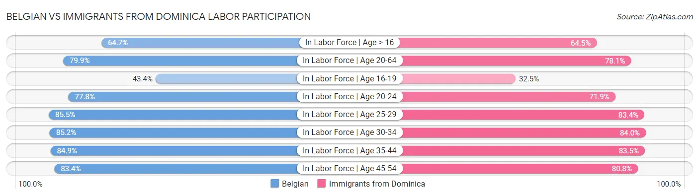 Belgian vs Immigrants from Dominica Labor Participation