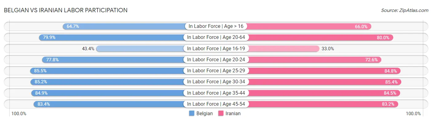 Belgian vs Iranian Labor Participation