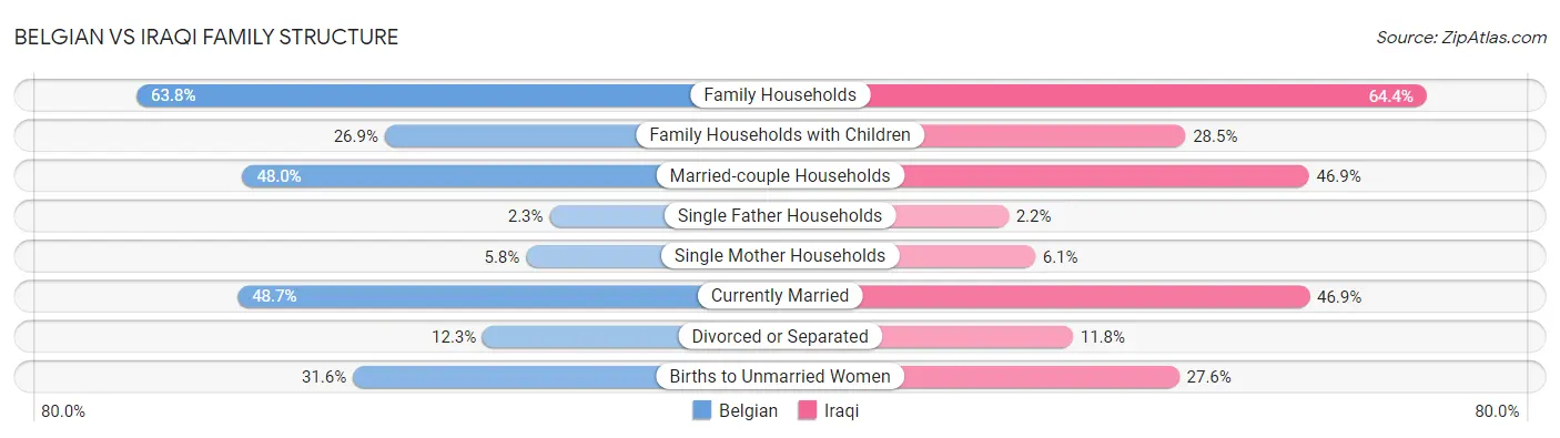 Belgian vs Iraqi Family Structure