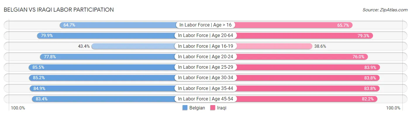 Belgian vs Iraqi Labor Participation