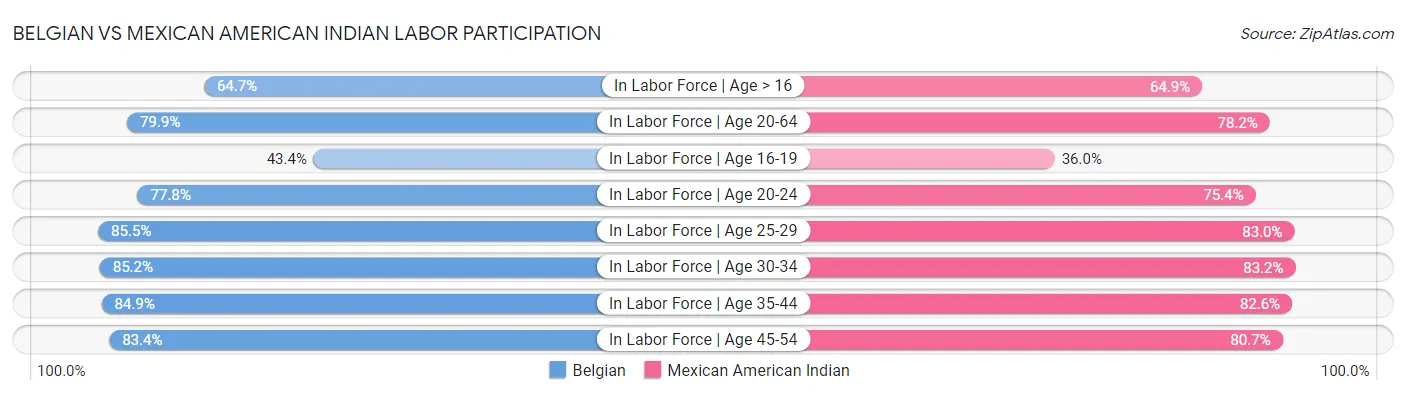 Belgian vs Mexican American Indian Labor Participation