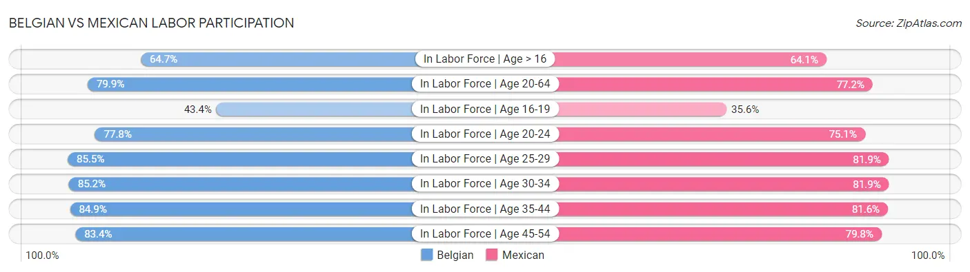 Belgian vs Mexican Labor Participation