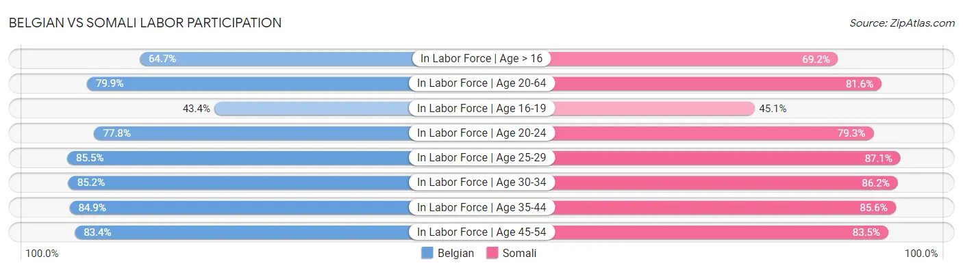 Belgian vs Somali Labor Participation