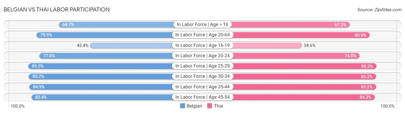 Belgian vs Thai Labor Participation