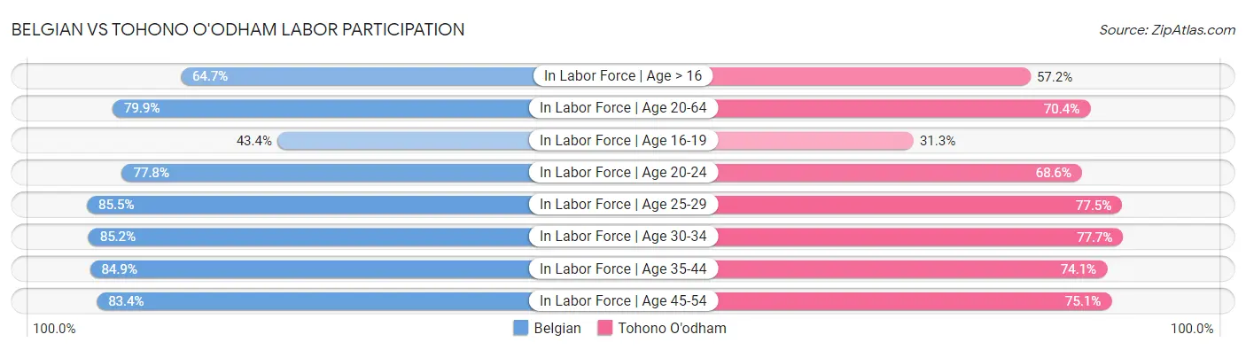 Belgian vs Tohono O'odham Labor Participation