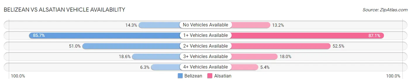 Belizean vs Alsatian Vehicle Availability
