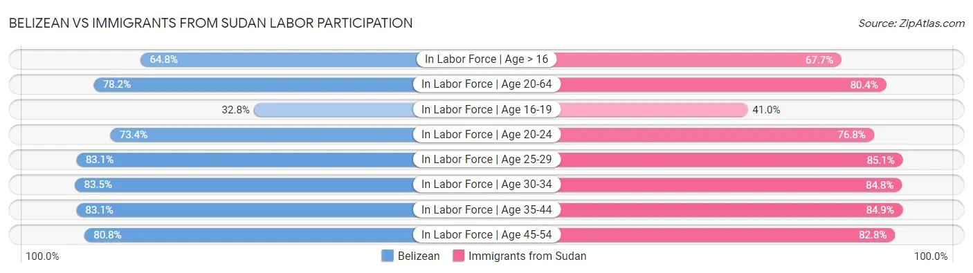 Belizean vs Immigrants from Sudan Labor Participation