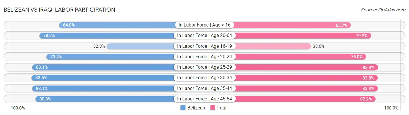 Belizean vs Iraqi Labor Participation