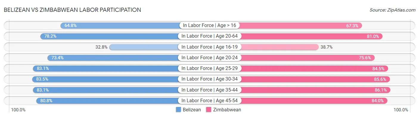 Belizean vs Zimbabwean Labor Participation