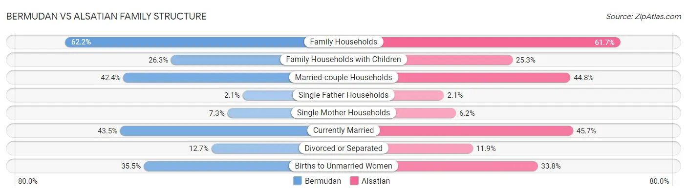 Bermudan vs Alsatian Family Structure