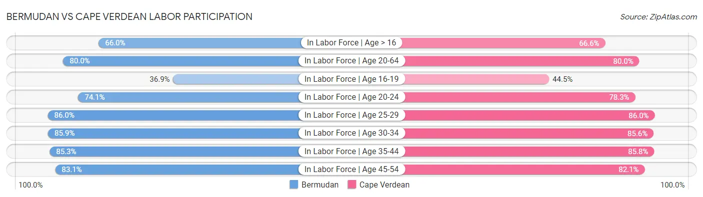 Bermudan vs Cape Verdean Labor Participation