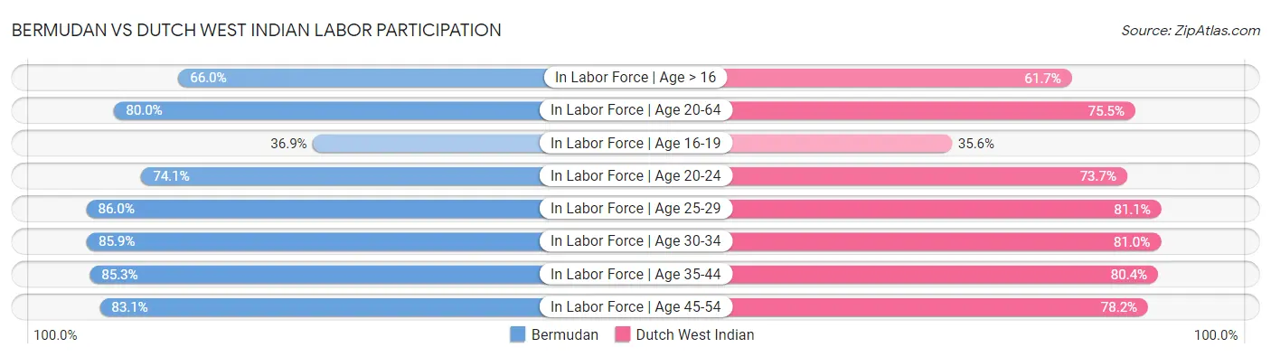 Bermudan vs Dutch West Indian Labor Participation
