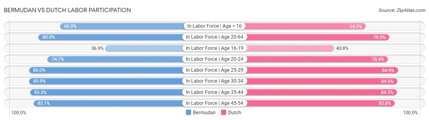 Bermudan vs Dutch Labor Participation