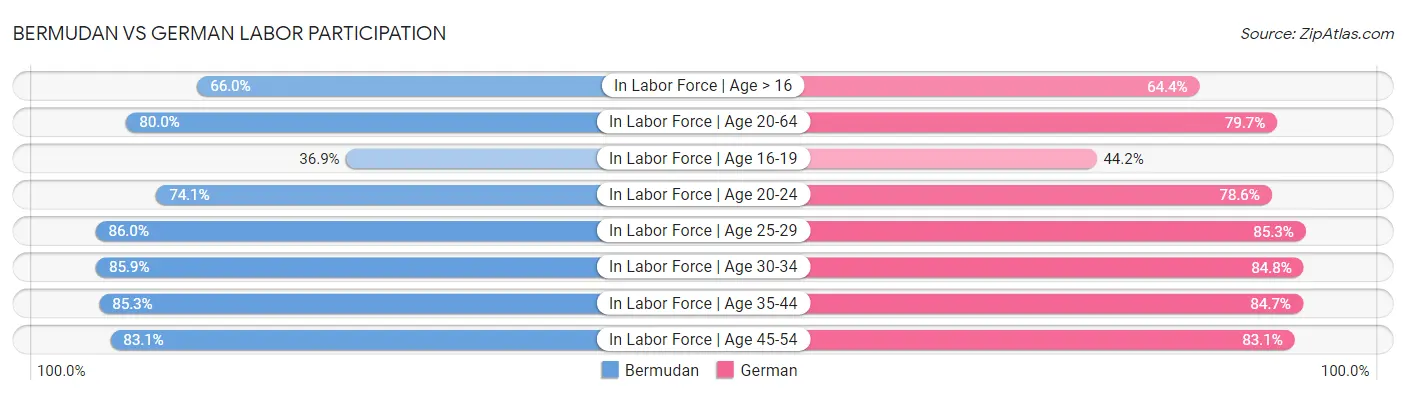 Bermudan vs German Labor Participation