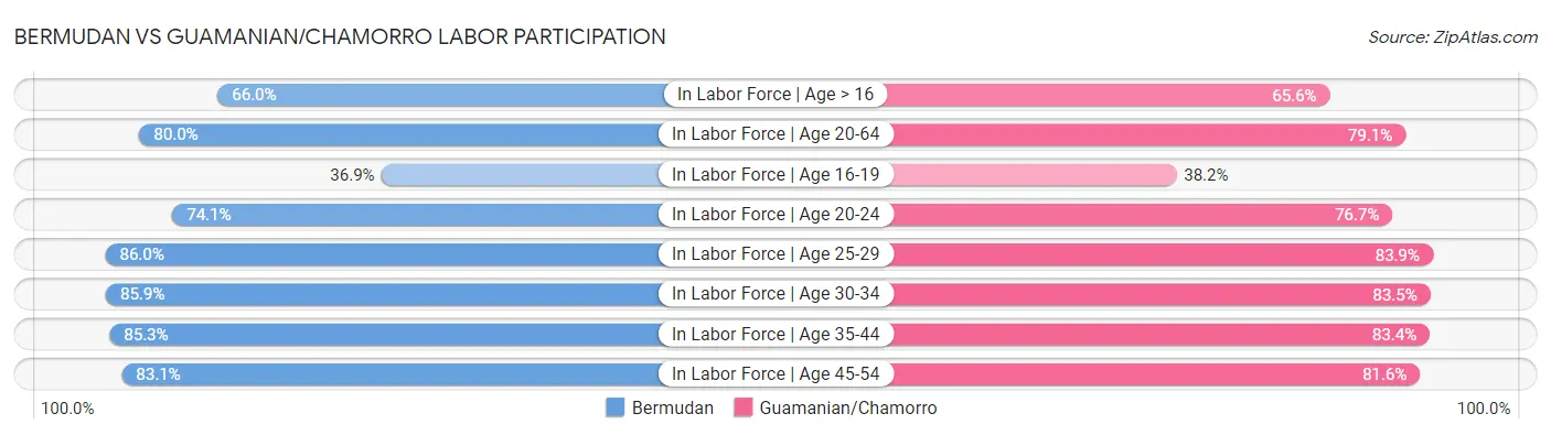 Bermudan vs Guamanian/Chamorro Labor Participation