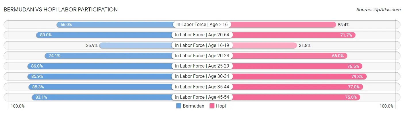 Bermudan vs Hopi Labor Participation