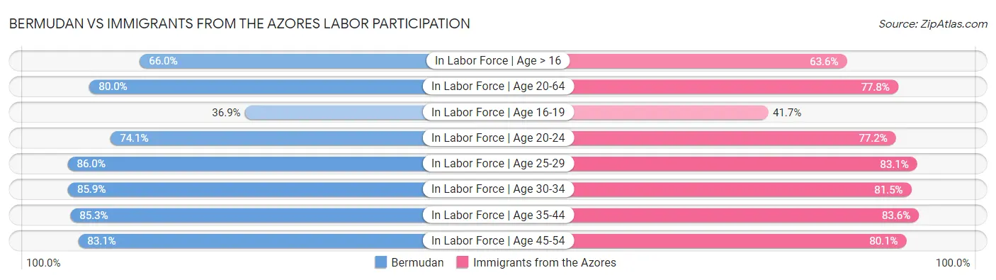 Bermudan vs Immigrants from the Azores Labor Participation