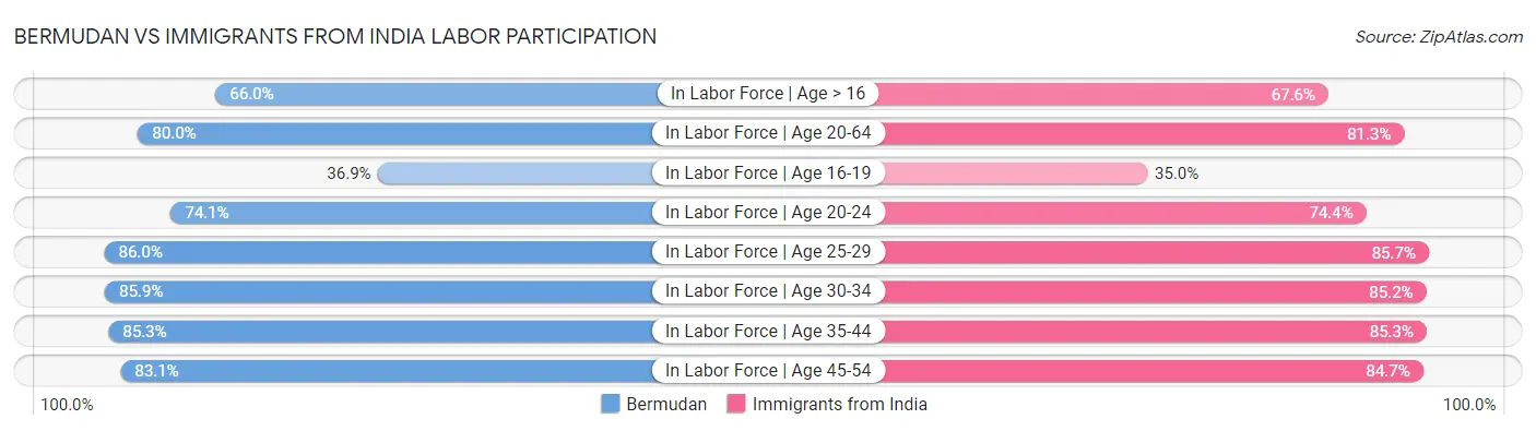 Bermudan vs Immigrants from India Labor Participation
