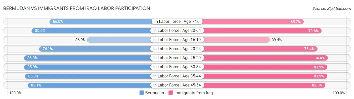 Bermudan vs Immigrants from Iraq Labor Participation