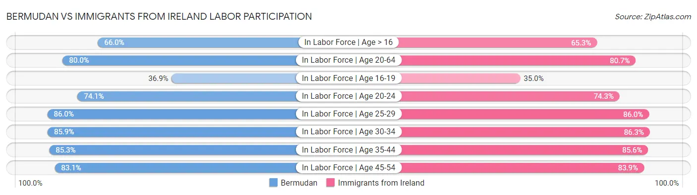 Bermudan vs Immigrants from Ireland Labor Participation
