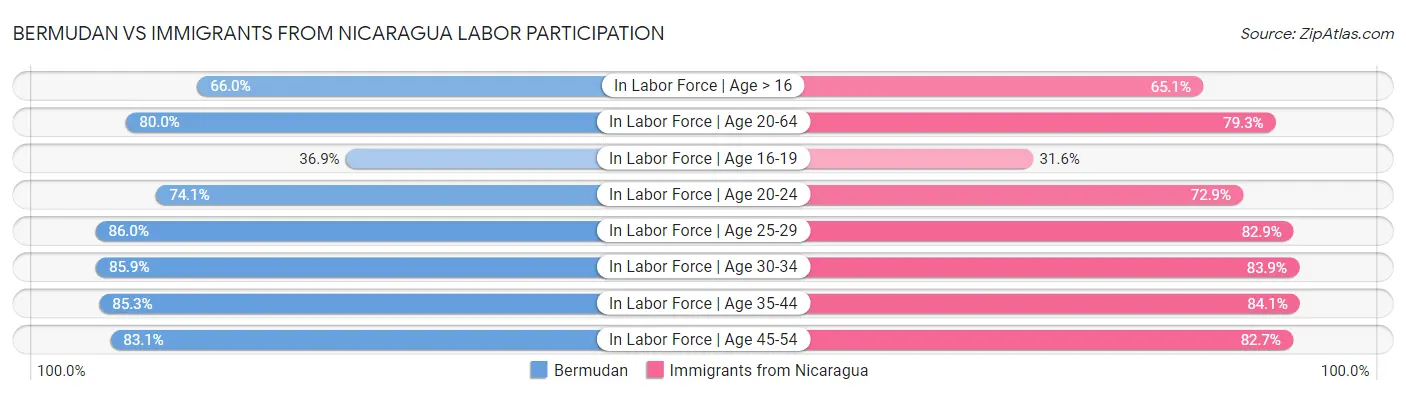 Bermudan vs Immigrants from Nicaragua Labor Participation