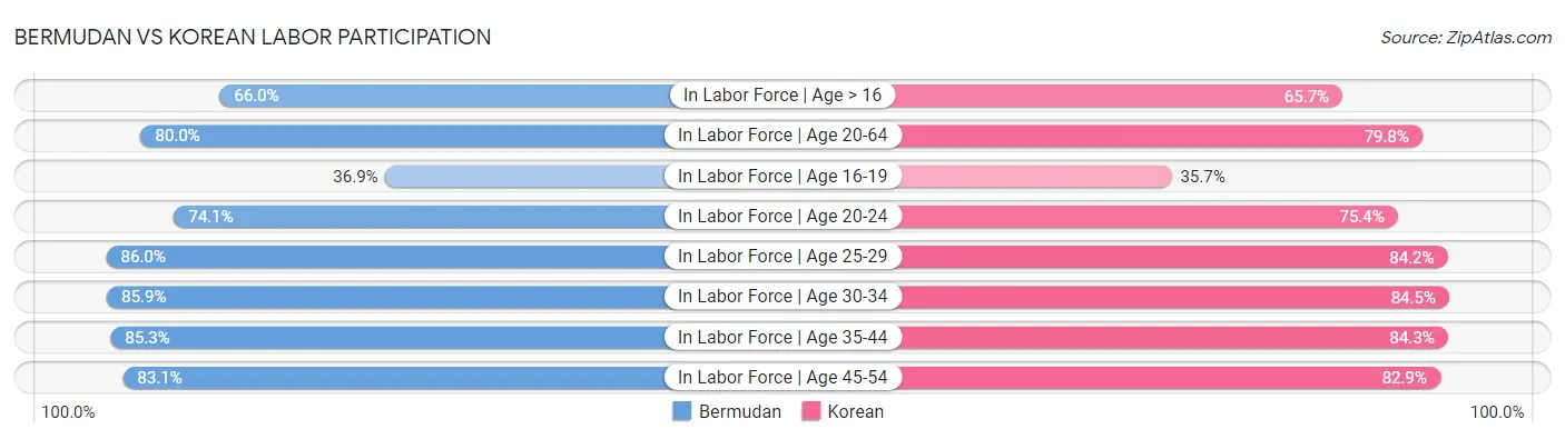 Bermudan vs Korean Labor Participation