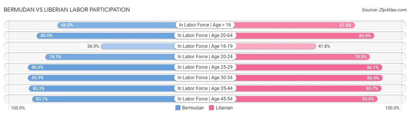 Bermudan vs Liberian Labor Participation