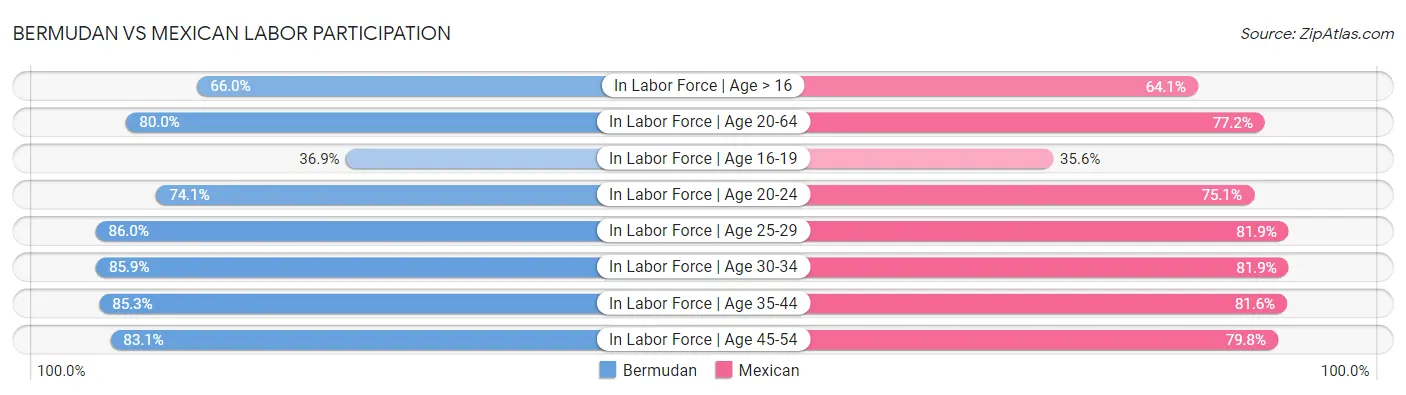 Bermudan vs Mexican Labor Participation