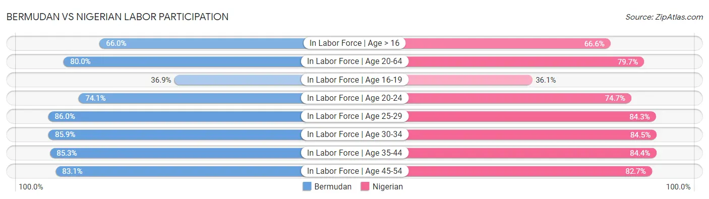 Bermudan vs Nigerian Labor Participation