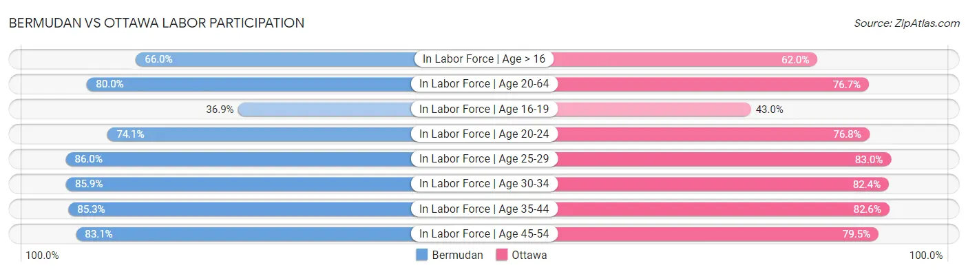 Bermudan vs Ottawa Labor Participation
