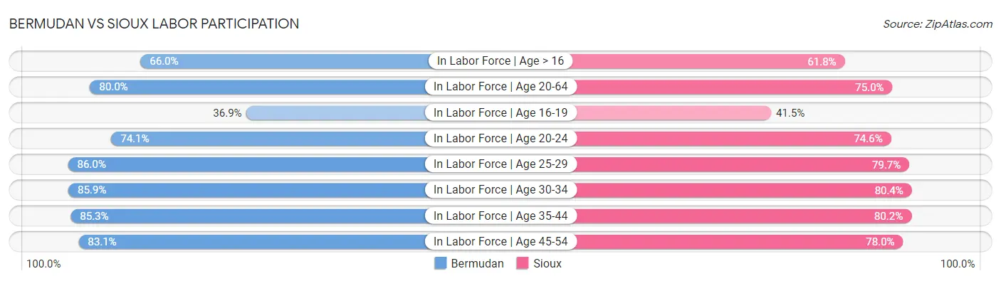 Bermudan vs Sioux Labor Participation