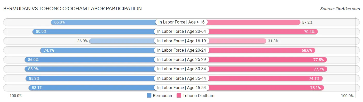 Bermudan vs Tohono O'odham Labor Participation