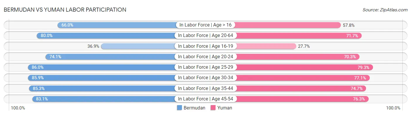 Bermudan vs Yuman Labor Participation