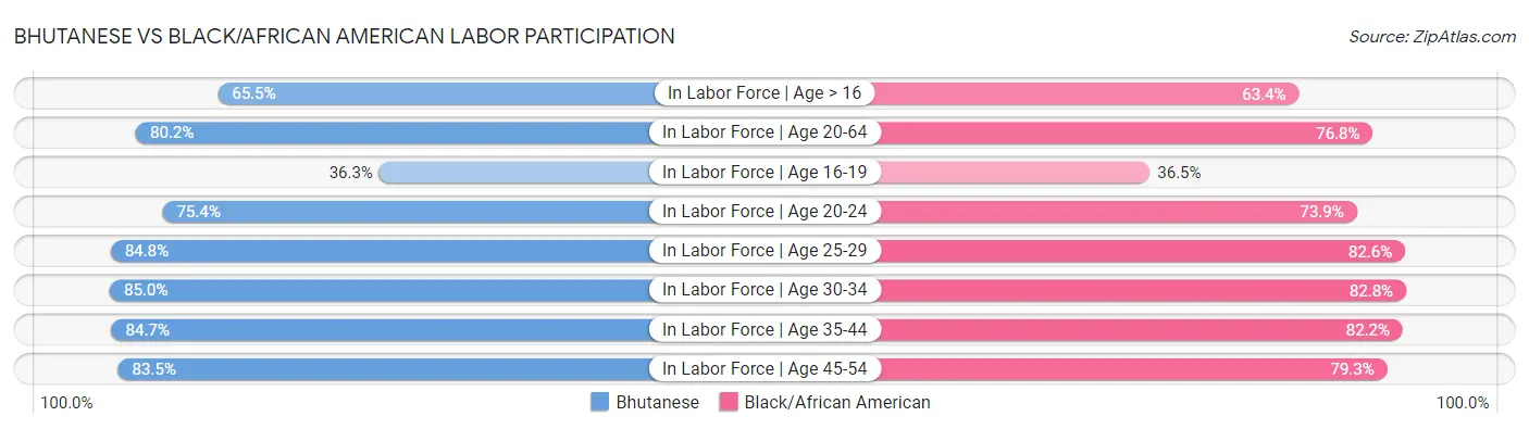 Bhutanese vs Black/African American Labor Participation