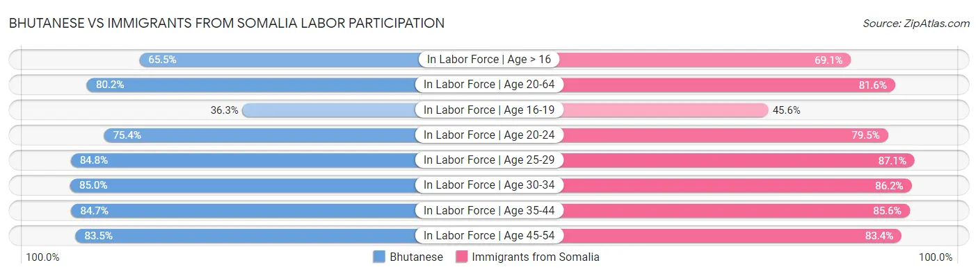 Bhutanese vs Immigrants from Somalia Labor Participation
