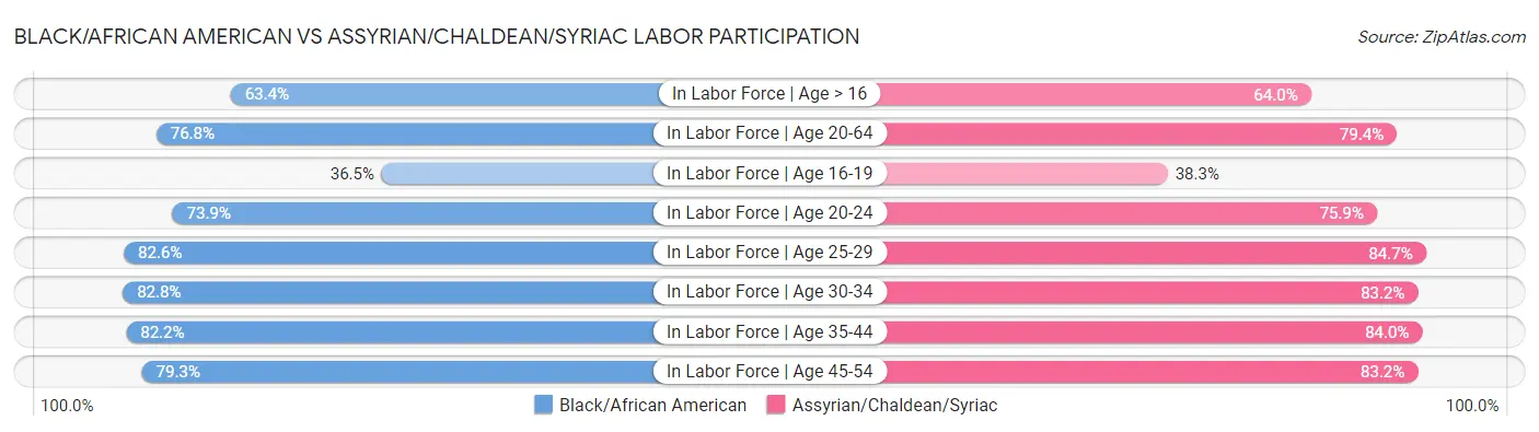 Black/African American vs Assyrian/Chaldean/Syriac Labor Participation