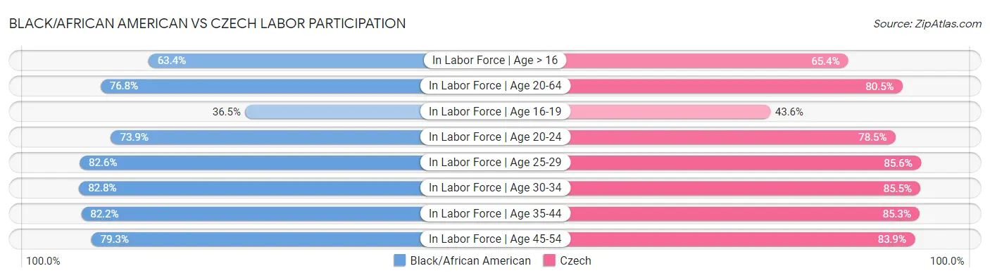 Black/African American vs Czech Labor Participation
