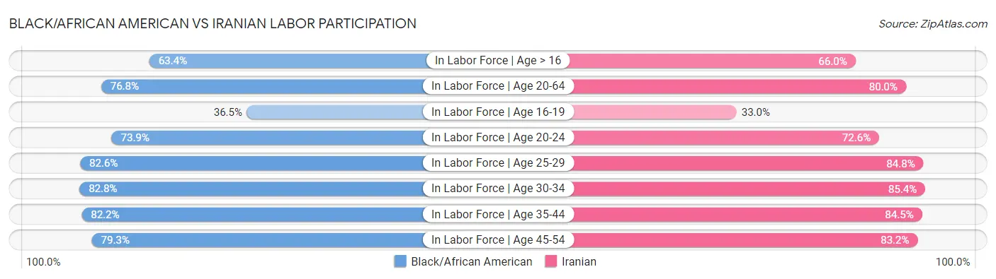 Black/African American vs Iranian Labor Participation