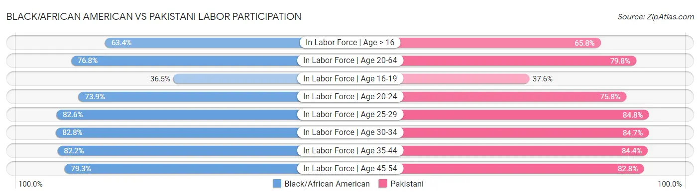 Black/African American vs Pakistani Labor Participation