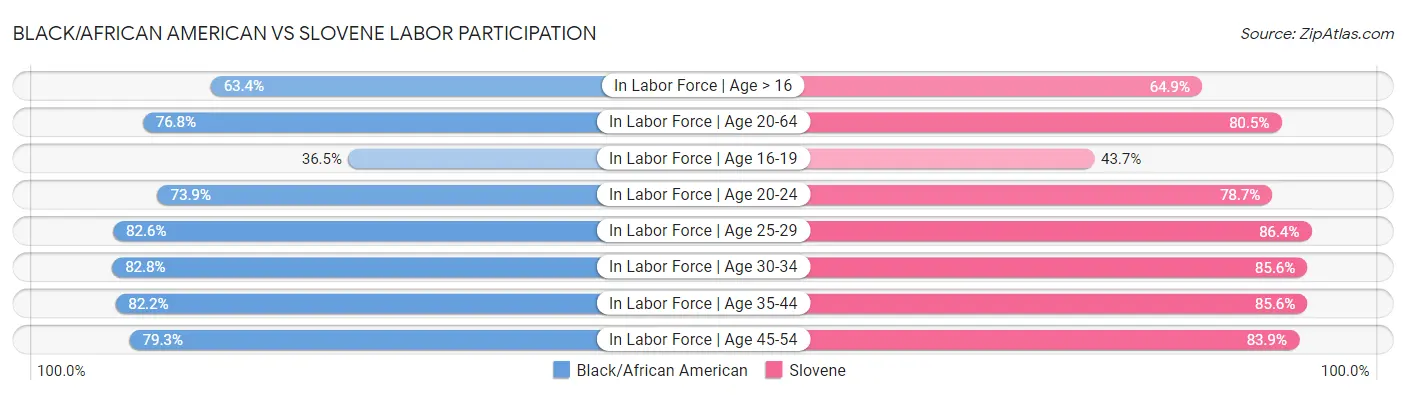 Black/African American vs Slovene Labor Participation