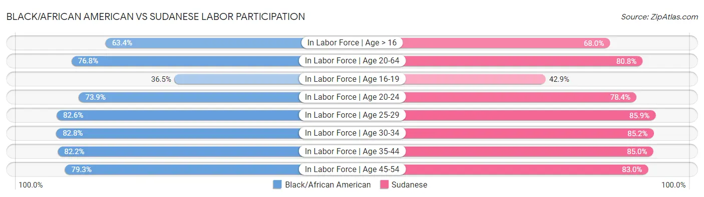 Black/African American vs Sudanese Labor Participation