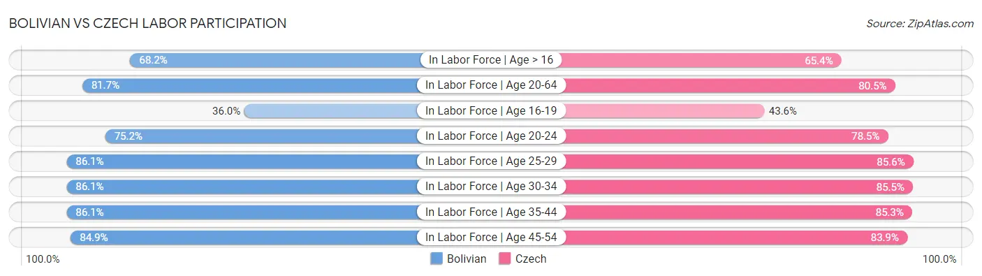 Bolivian vs Czech Labor Participation