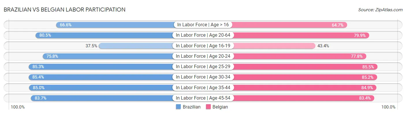 Brazilian vs Belgian Labor Participation