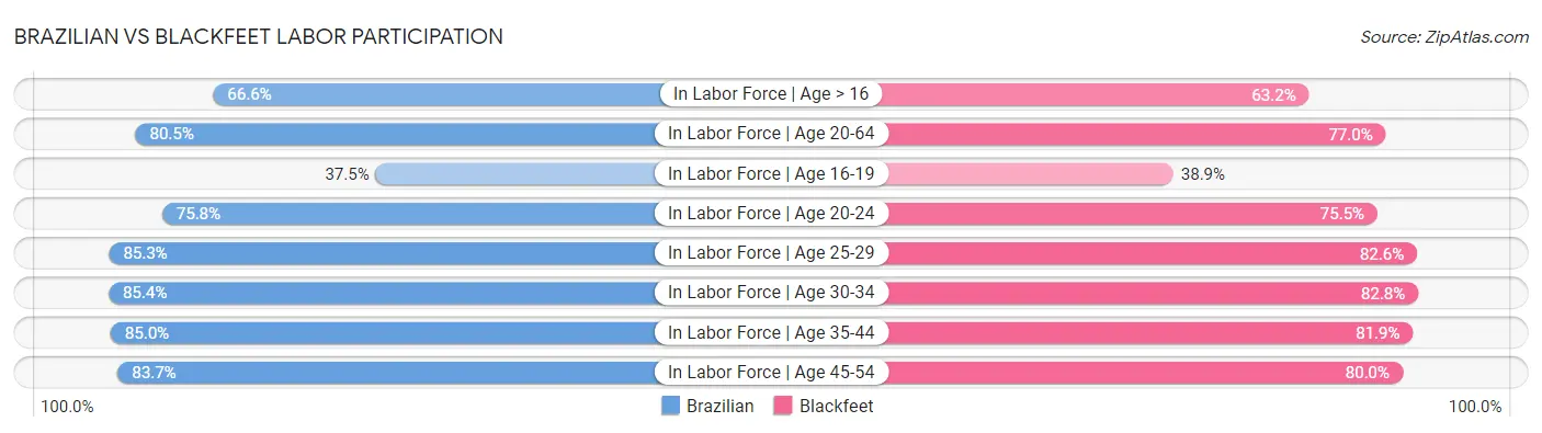 Brazilian vs Blackfeet Labor Participation