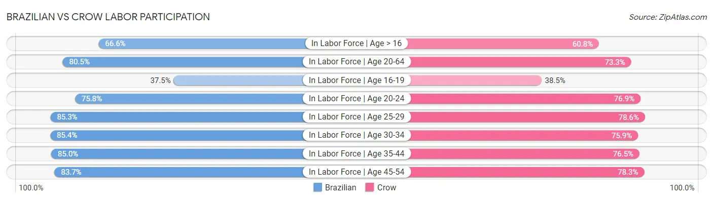 Brazilian vs Crow Labor Participation