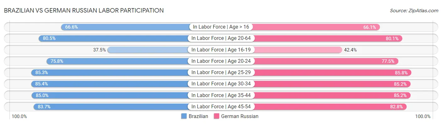 Brazilian vs German Russian Labor Participation