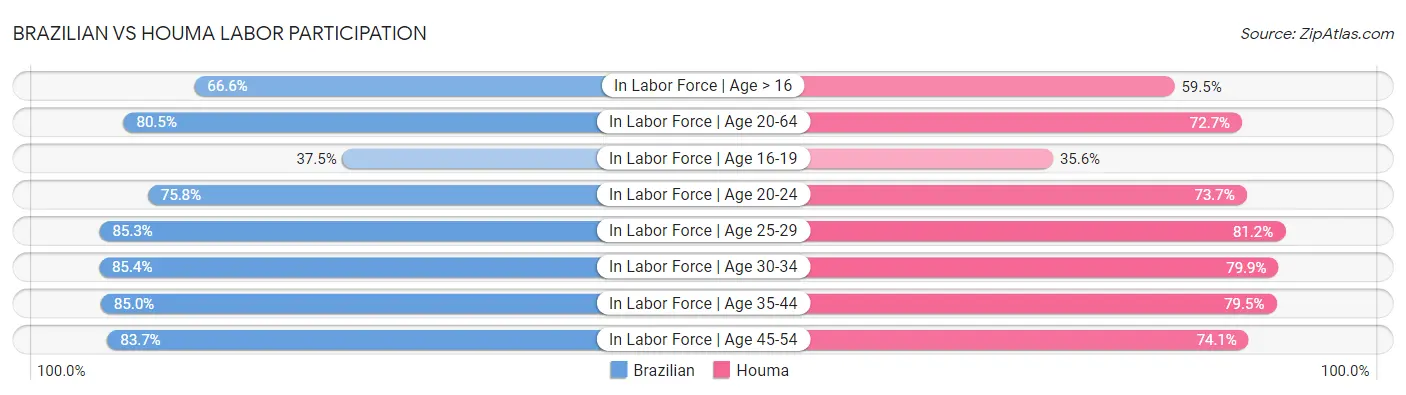 Brazilian vs Houma Labor Participation